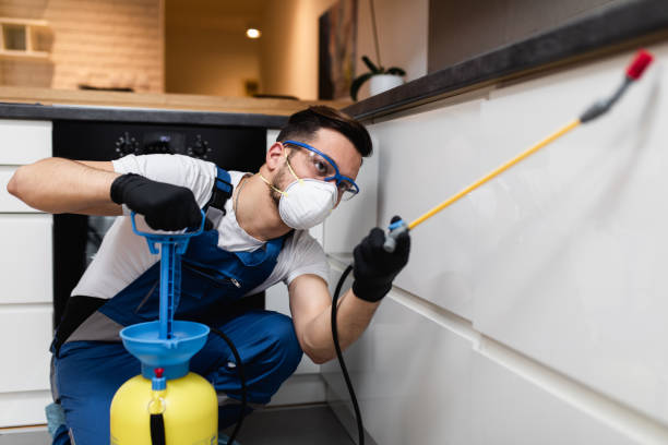 Best Ant Control Services  in Newburgh Heights, OH