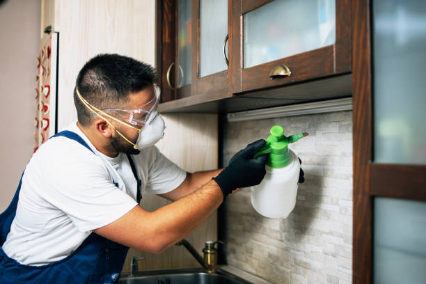 Best Affordable Pest Control Services  in Newburgh Heights, OH