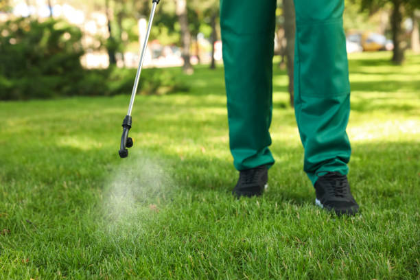 Best Mosquito Control Services  in Newburgh Heights, OH