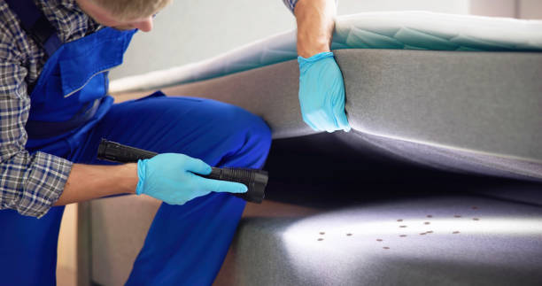 Best Pest Control for Businesses  in Newburgh Heights, OH