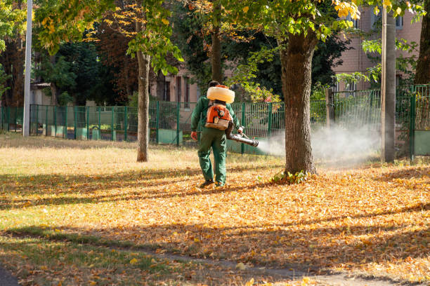 Best Cockroach Control Services  in Newburgh Heights, OH