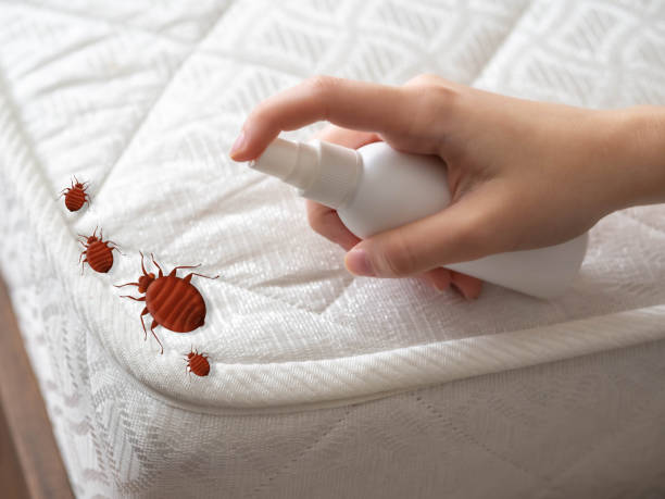 Newburgh Heights, OH Pest Control Company